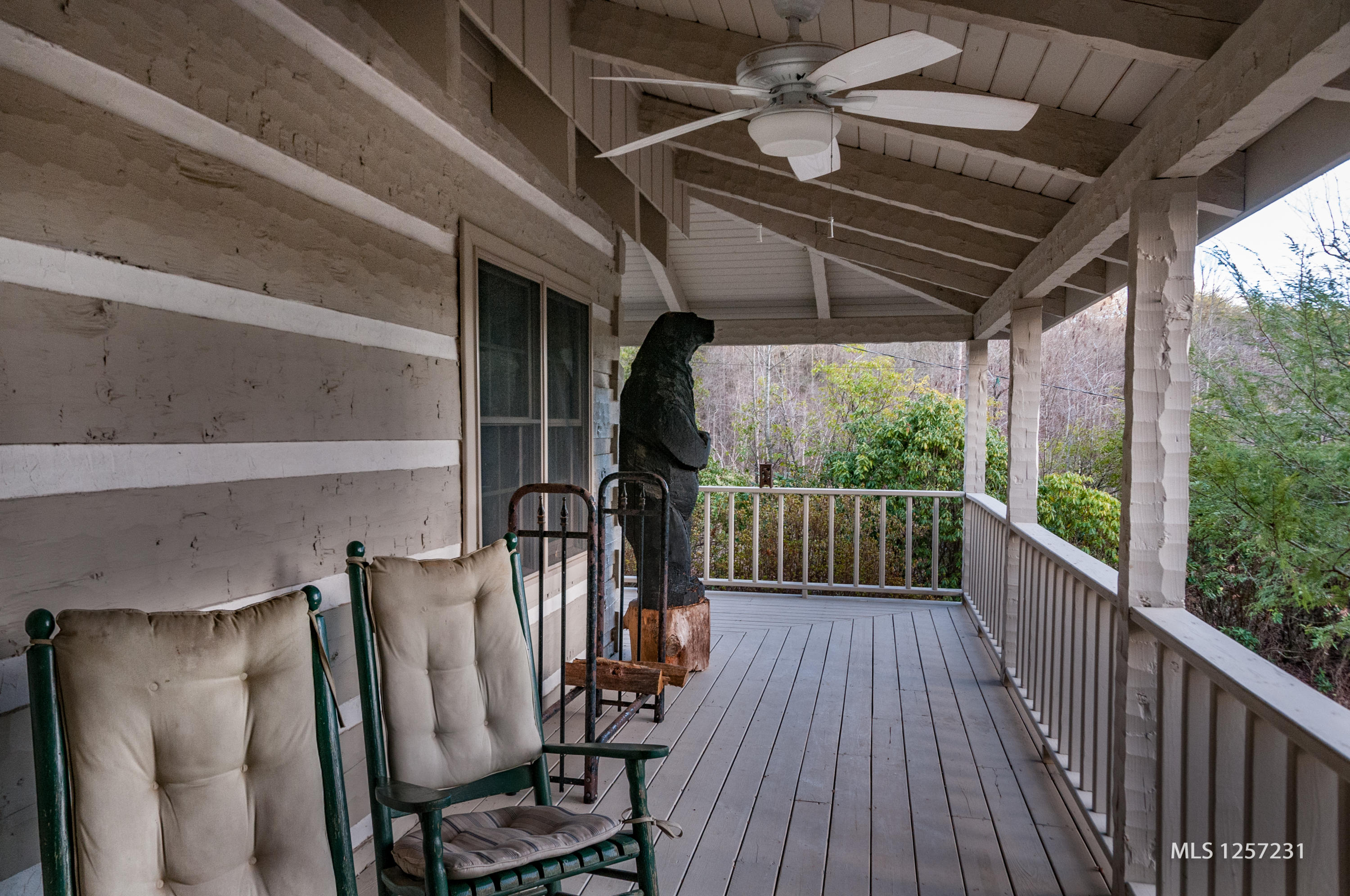 442 Johnson Cove Road Copperhill, TN 37317 - Photo 6 of 42 Left Side Porch