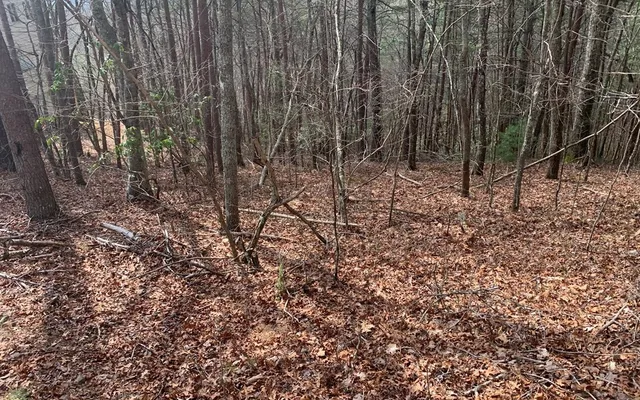 $10,500 | Lot20 Wolf Ridge Lane, Murphy, NC 28906