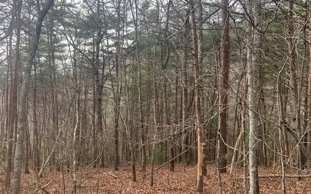 $10,500 | Lot20 Wolf Ridge Lane, Murphy, NC 28906