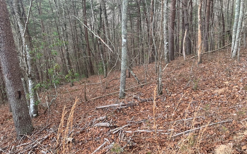 Lot20 Wolf Ridge Lane Murphy, NC 28906 - Photo 12 of 17 Additional View