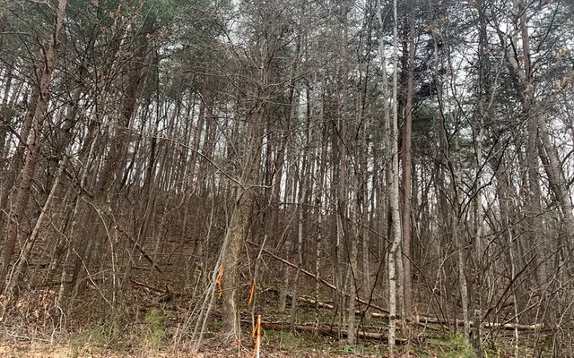 $10,500 | Lot20 Wolf Ridge Lane, Murphy, NC 28906