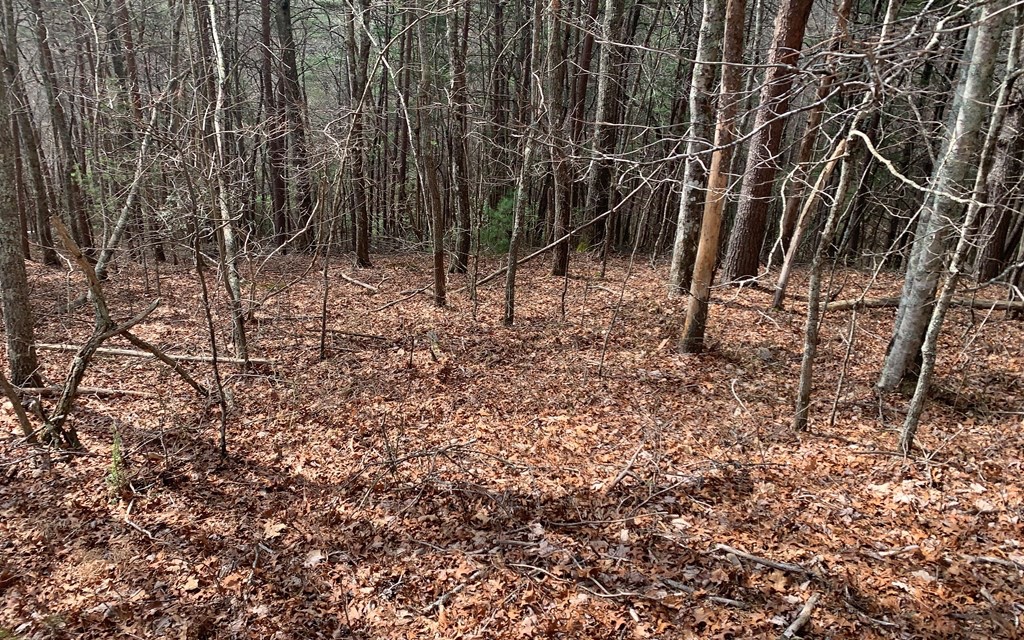 Lot20 Wolf Ridge Lane Murphy, NC 28906 - Photo 17 of 17 Additional View