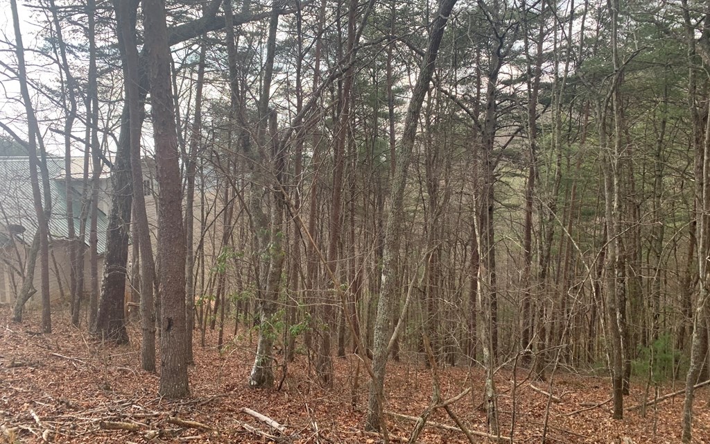 Lot20 Wolf Ridge Lane Murphy, NC 28906 - Photo 3 of 17 Additional View