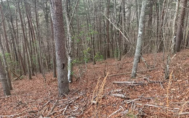 $10,500 | Lot20 Wolf Ridge Lane, Murphy, NC 28906