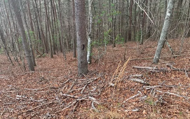 $10,500 | Lot20 Wolf Ridge Lane, Murphy, NC 28906