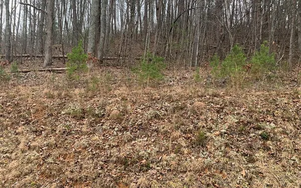 $10,500 | Lot20 Wolf Ridge Lane, Murphy, NC 28906