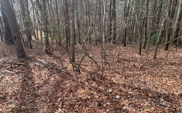 $10,500 | Lot20 Wolf Ridge Lane, Murphy, NC 28906