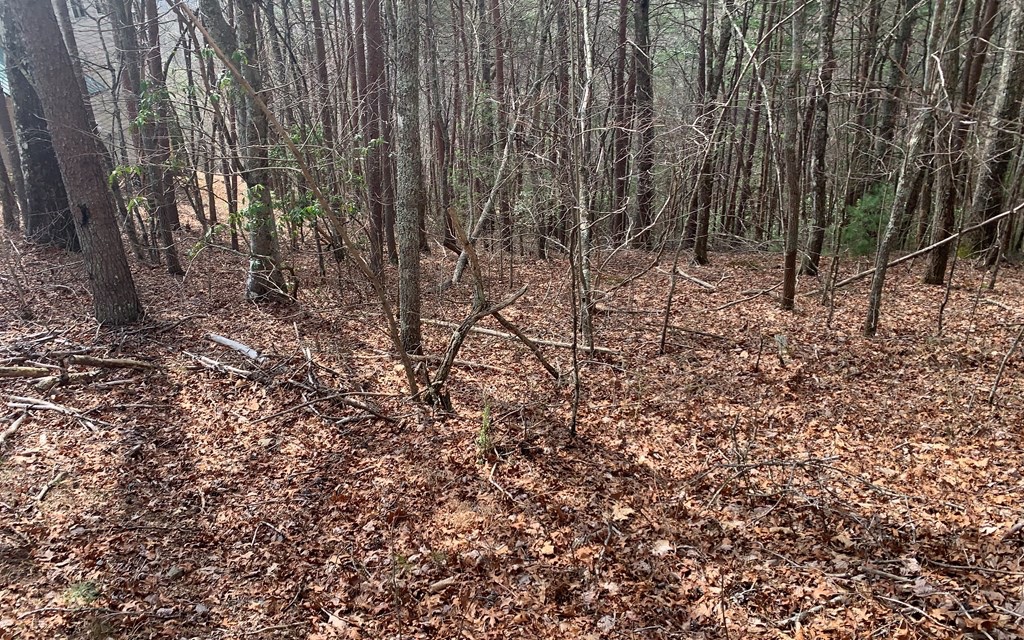 Lot20 Wolf Ridge Lane Murphy, NC 28906 - Photo 7 of 17 Additional View