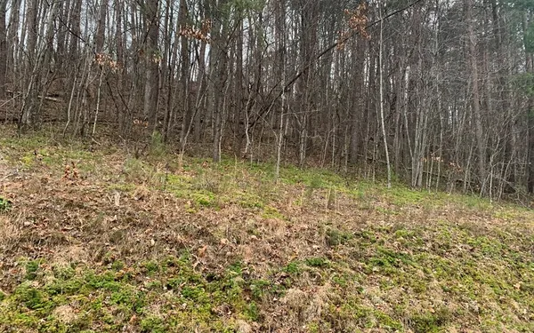 $10,500 | Lot20 Wolf Ridge Lane, Murphy, NC 28906