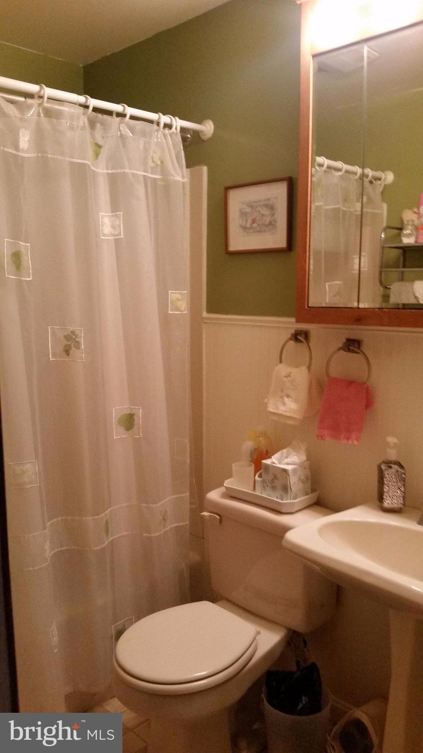 1305 4th Road Baltimore, MD 21220 - Photo 12 of 24 a bathroom with a sink a toilet and shower curtain