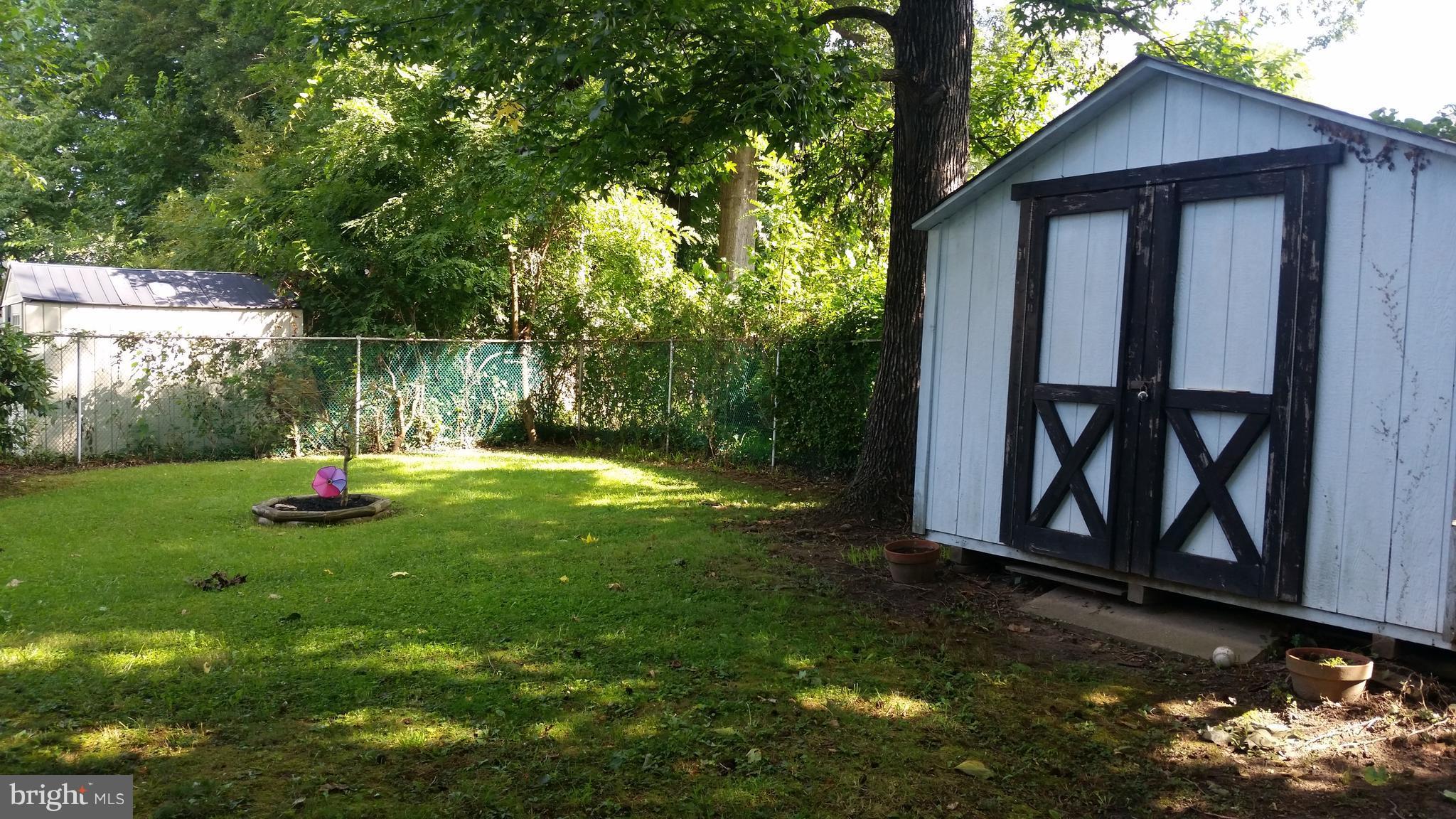 1305 4th Road Baltimore, MD 21220 - Photo 18 of 24 a view of backyard with a barn and a large cactus tree