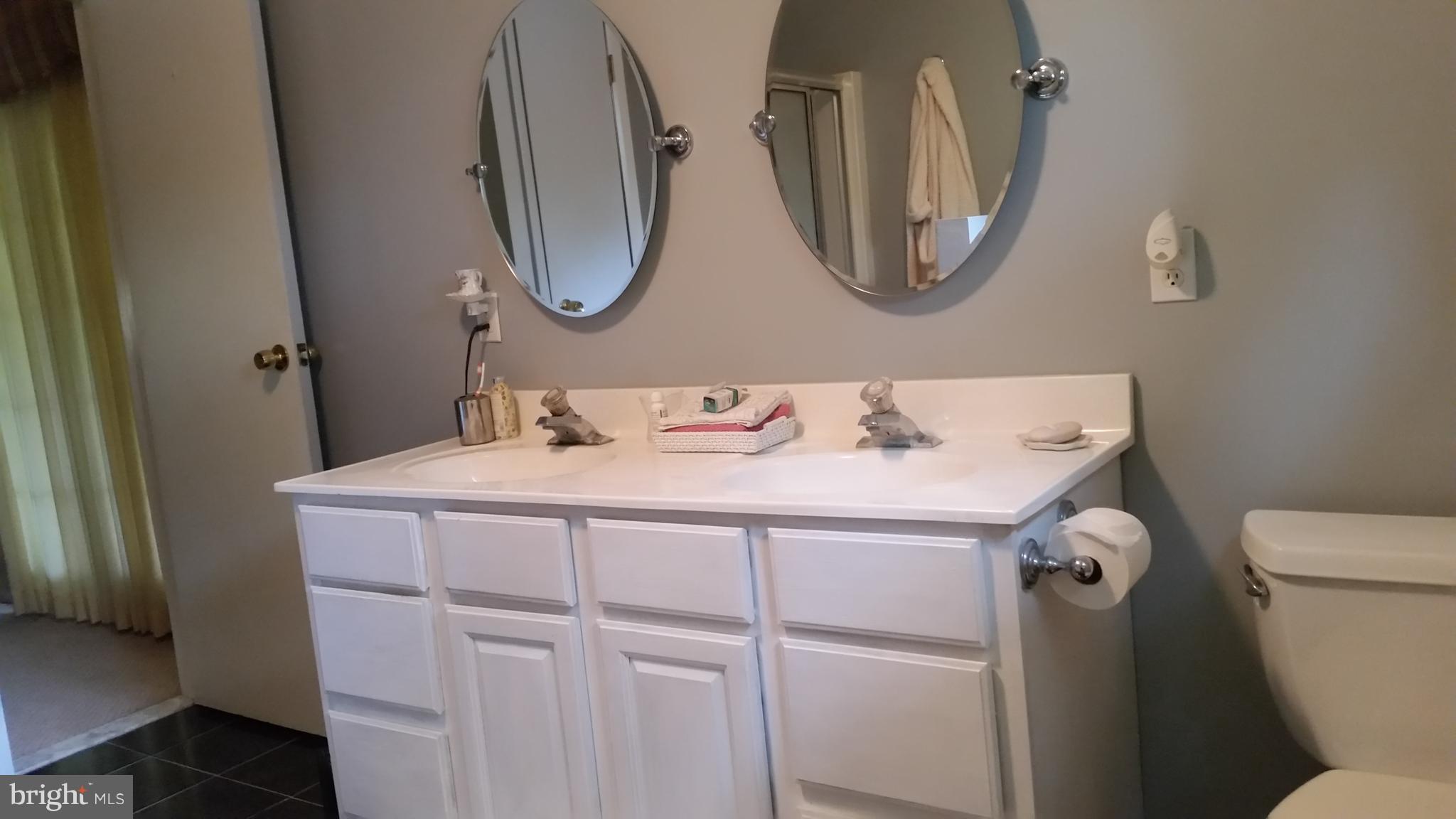 1305 4th Road Baltimore, MD 21220 - Photo 9 of 24 a bathroom with a sink vanity mirror and toilet