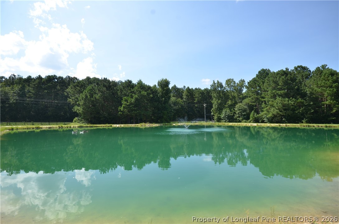 1865 John B Carter Road Fayetteville, NC 28312 - Photo 43 of 49 a view of a lake