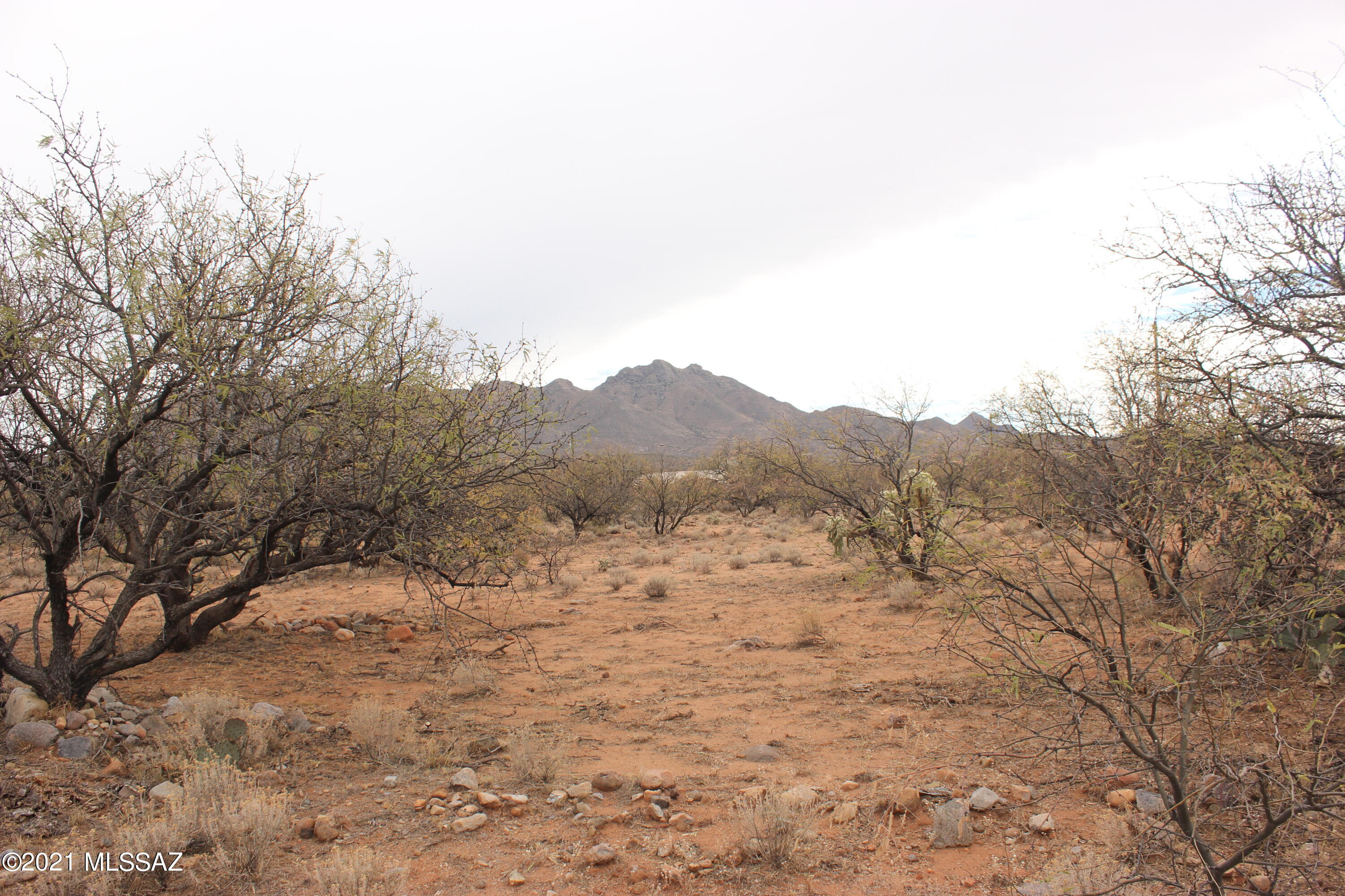 41 Camino India, Unit 11 Rio Rico, AZ 85648 - Photo 2 of 3