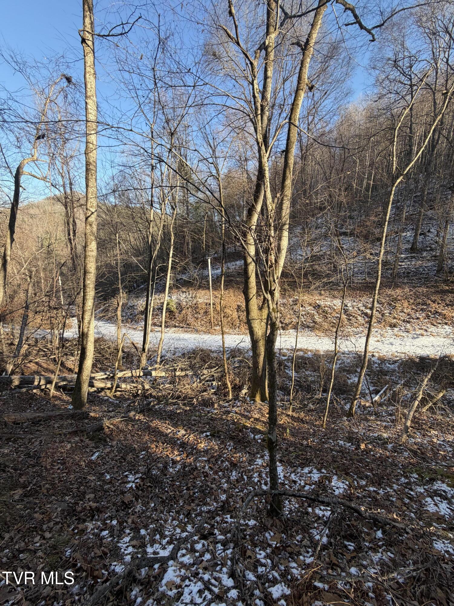 Tbd West Williams Lane, Unit 45 Butler, TN 37640 - Photo 11 of 22 20260119_203032252_iOS