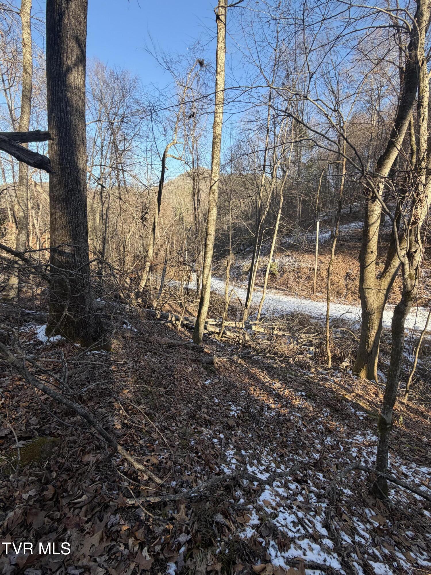 Tbd West Williams Lane, Unit 45 Butler, TN 37640 - Photo 12 of 22 20260119_203034117_iOS