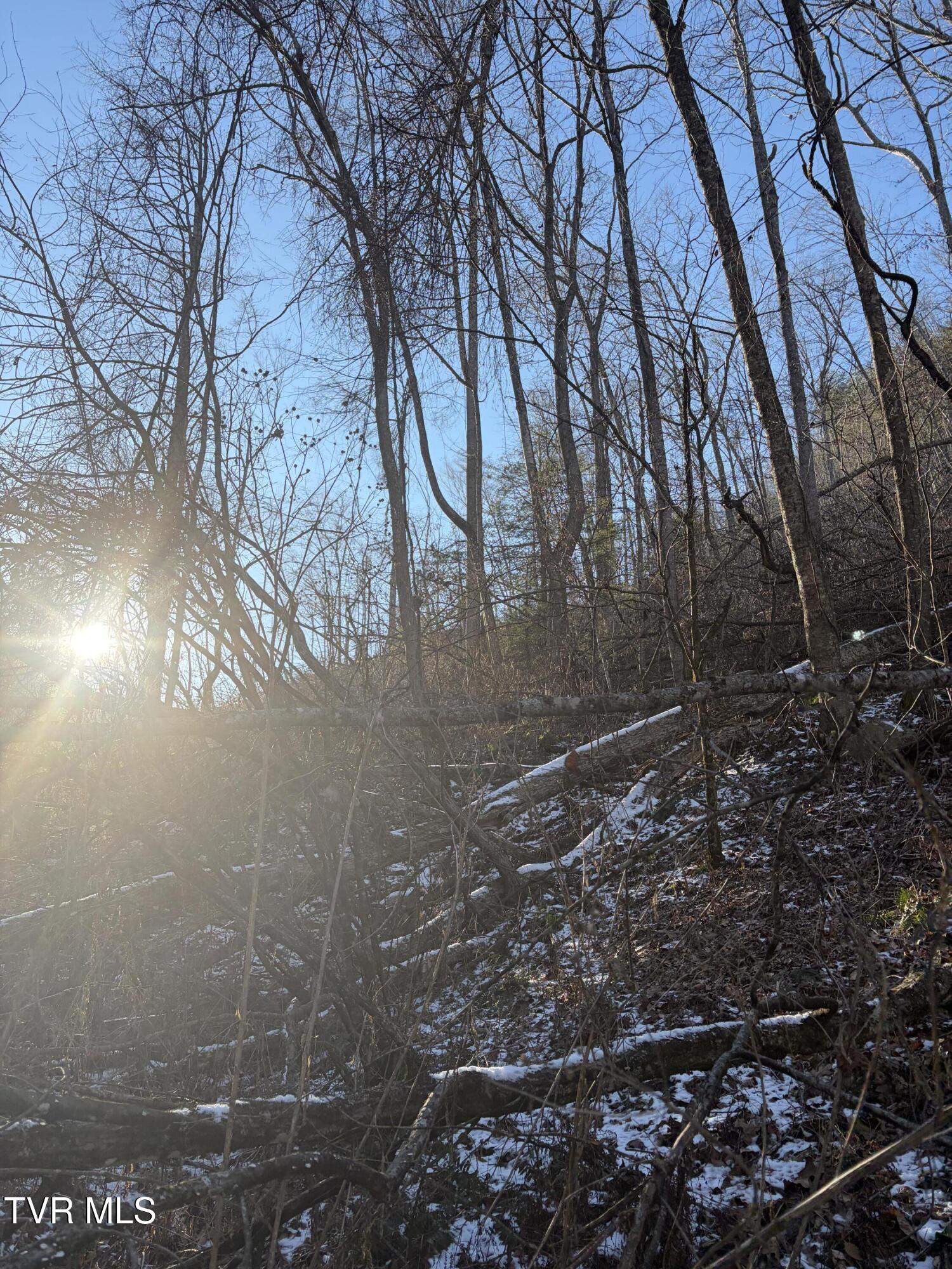 Tbd West Williams Lane, Unit 45 Butler, TN 37640 - Photo 14 of 22 20260119_203228272_iOS