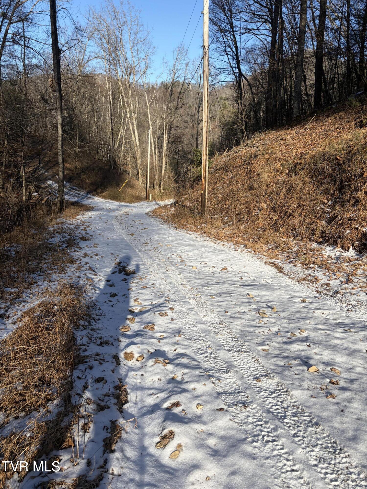 Tbd West Williams Lane, Unit 45 Butler, TN 37640 - Photo 15 of 22 20260119_203235348_iOS