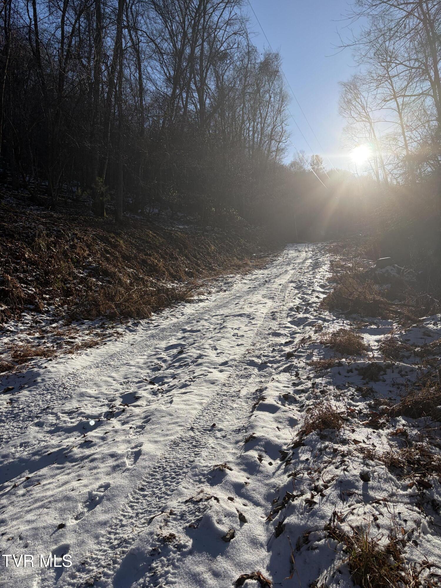 Tbd West Williams Lane, Unit 45 Butler, TN 37640 - Photo 16 of 22 20260119_203238048_iOS