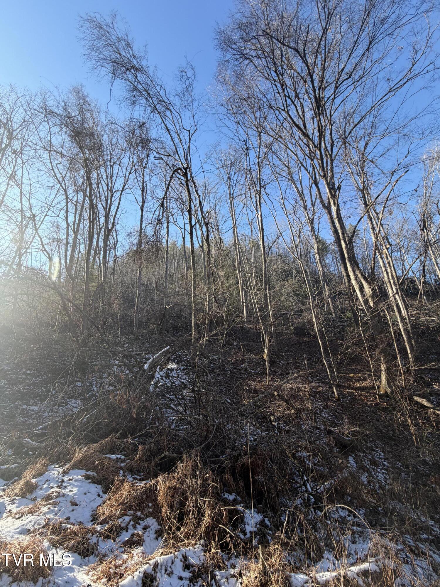 Tbd West Williams Lane, Unit 45 Butler, TN 37640 - Photo 17 of 22 20260119_203250866_iOS