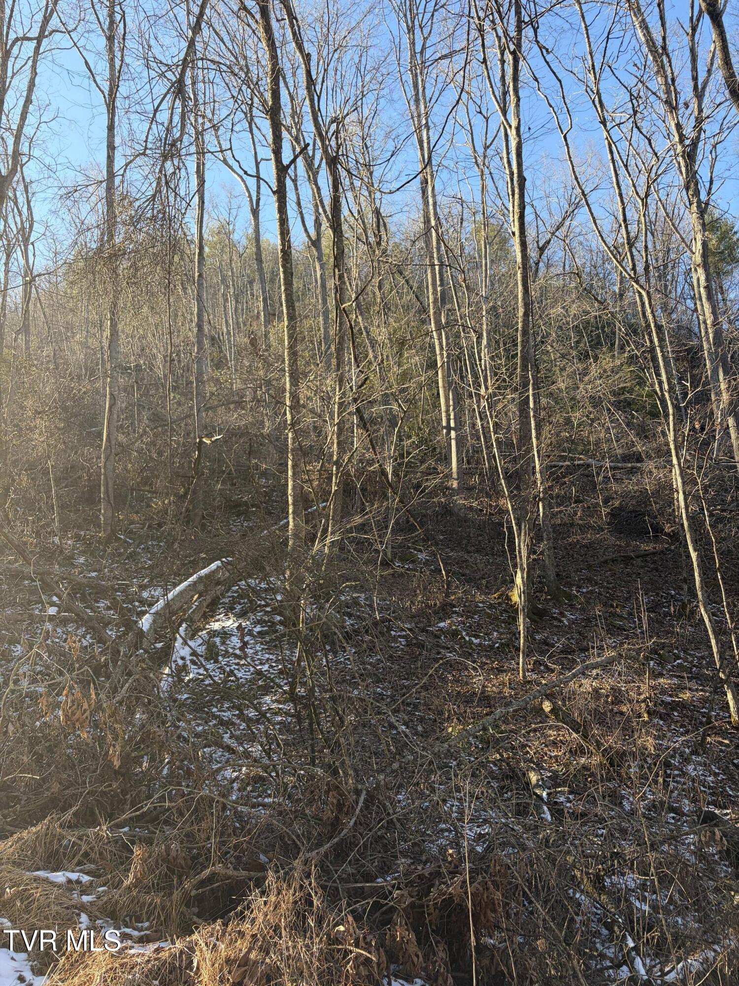 Tbd West Williams Lane, Unit 45 Butler, TN 37640 - Photo 18 of 22 20260119_203254224_iOS