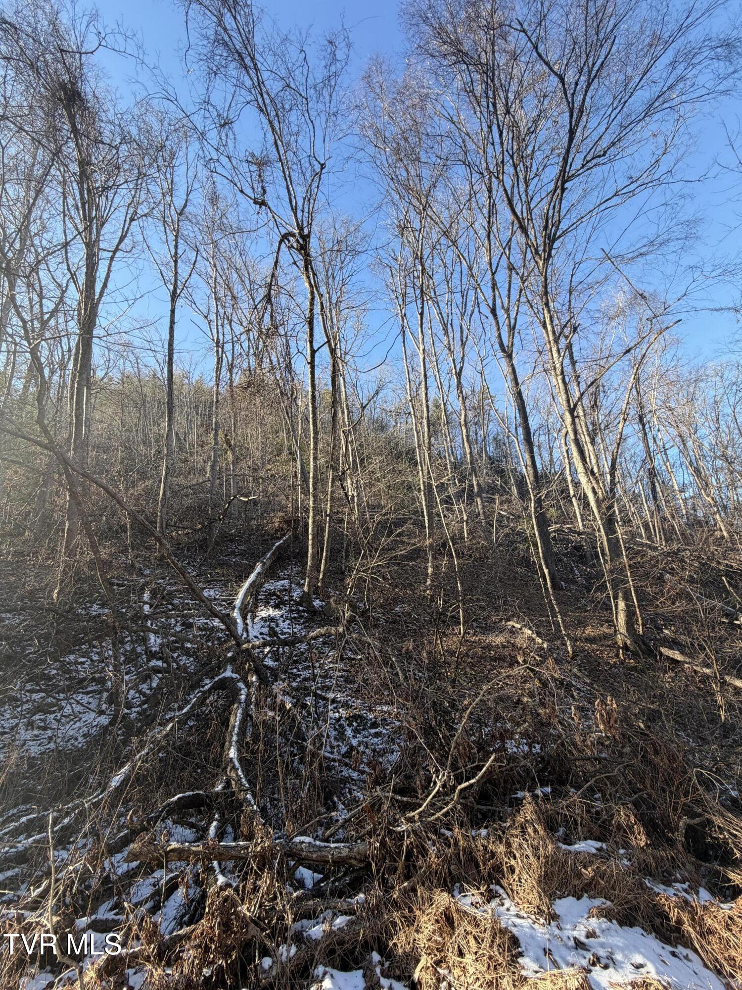 Tbd West Williams Lane, Unit 45 Butler, TN 37640 - Photo 19 of 22 20260119_203303121_iOS