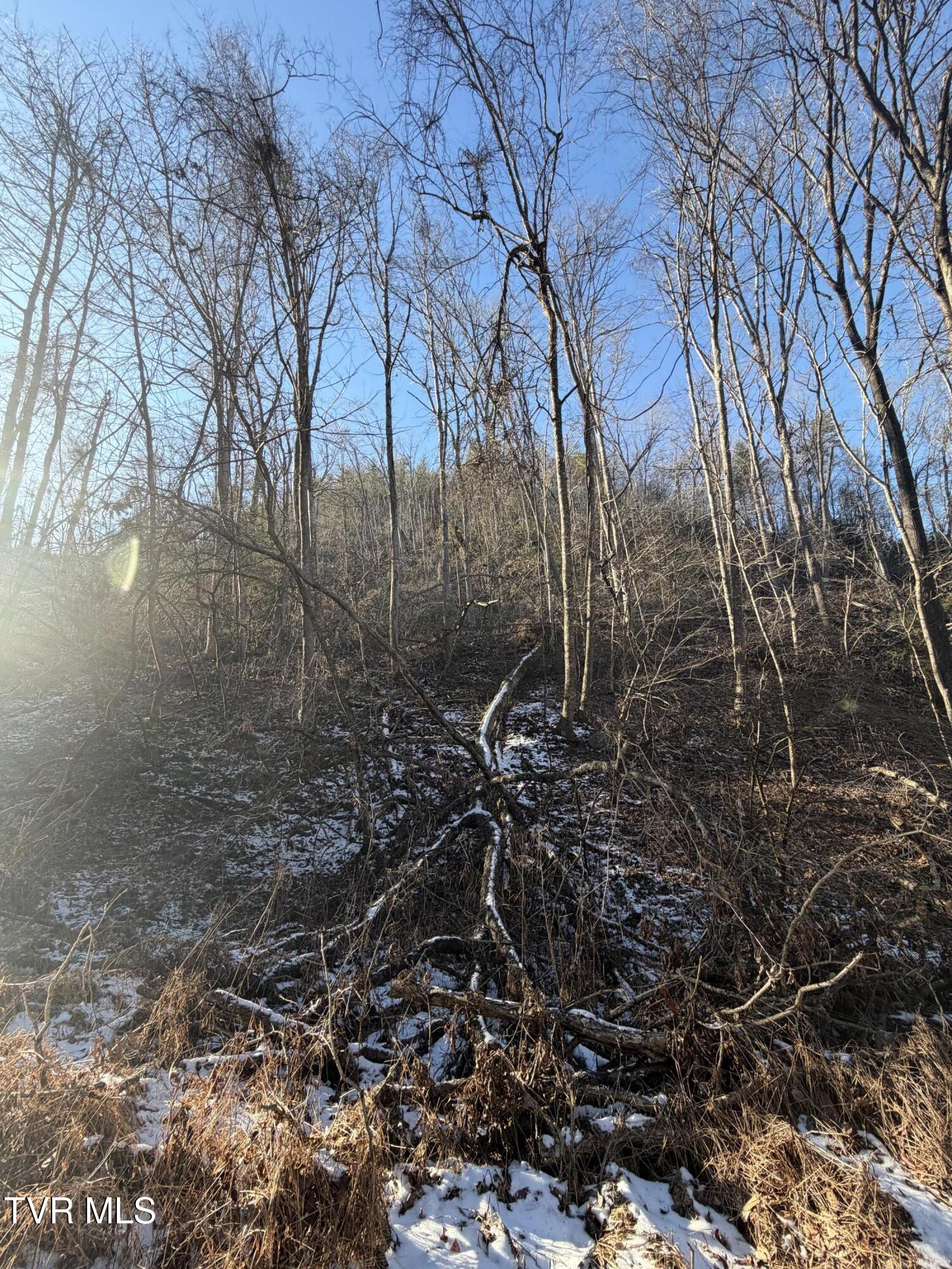 Tbd West Williams Lane, Unit 45 Butler, TN 37640 - Photo 20 of 22 20260119_203304557_iOS