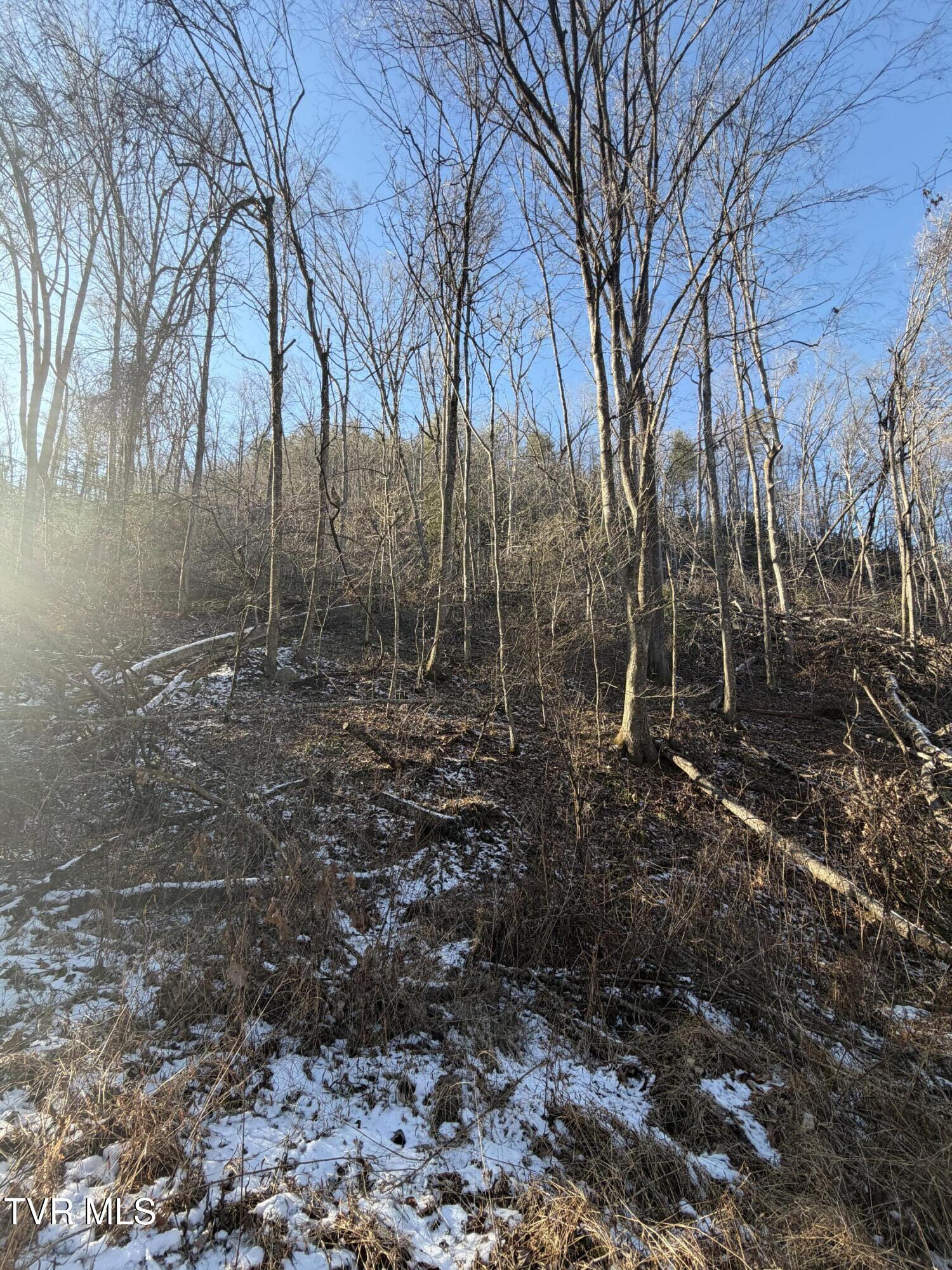 Tbd West Williams Lane, Unit 45 Butler, TN 37640 - Photo 2 of 22 20260119_202927089_iOS