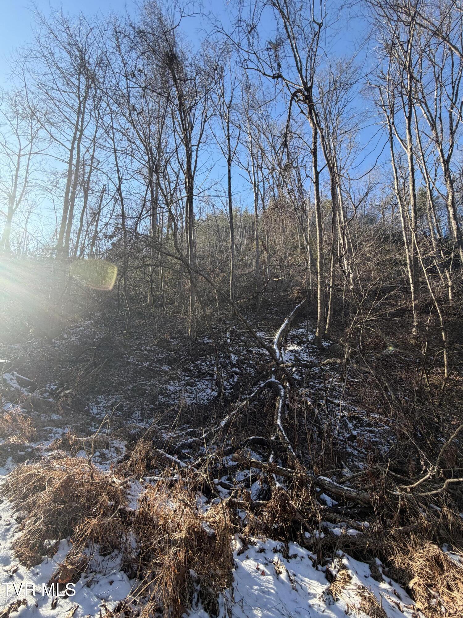 Tbd West Williams Lane, Unit 45 Butler, TN 37640 - Photo 21 of 22 20260119_203306516_iOS