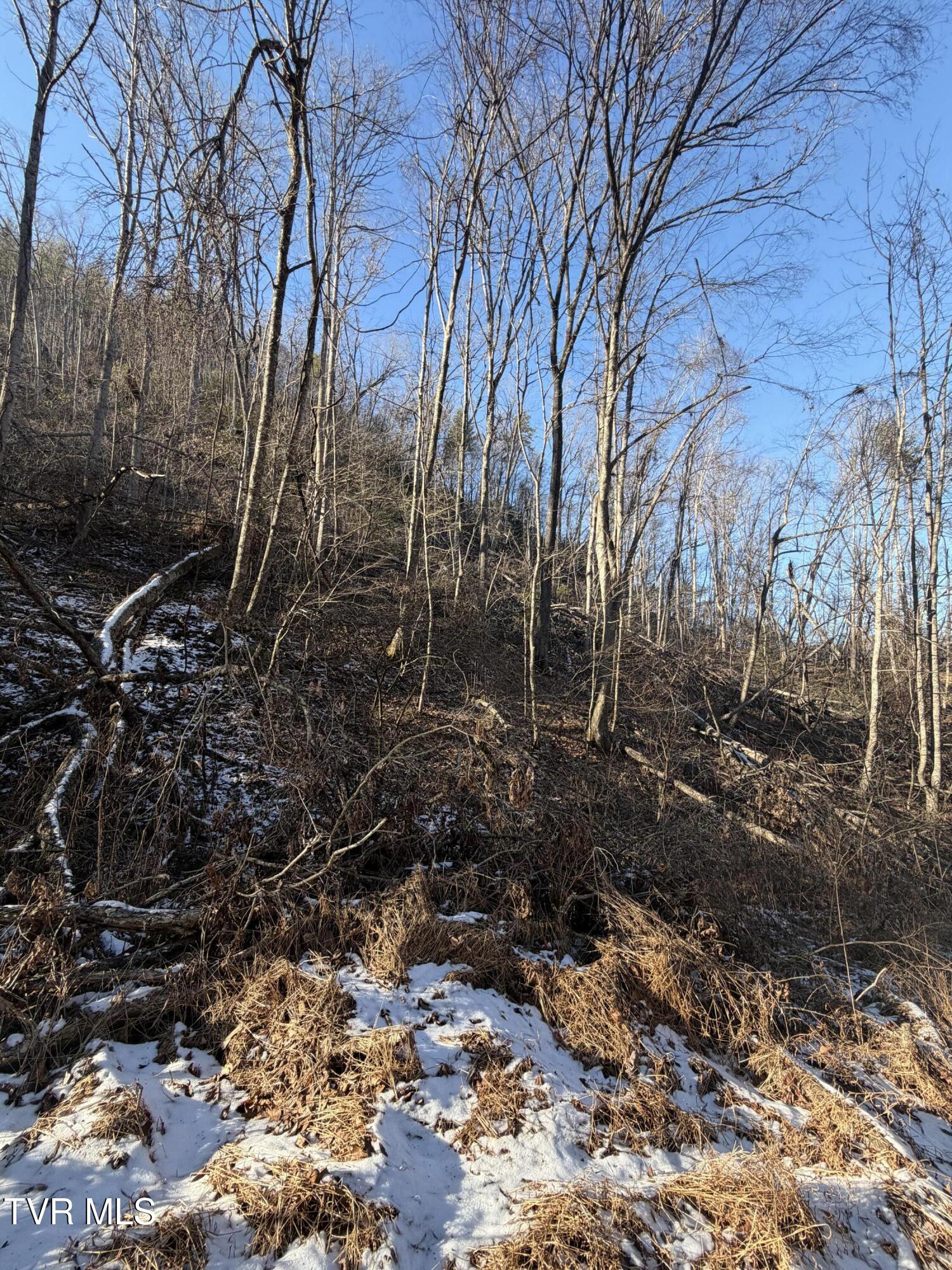 Tbd West Williams Lane, Unit 45 Butler, TN 37640 - Photo 22 of 22 20260119_203311544_iOS