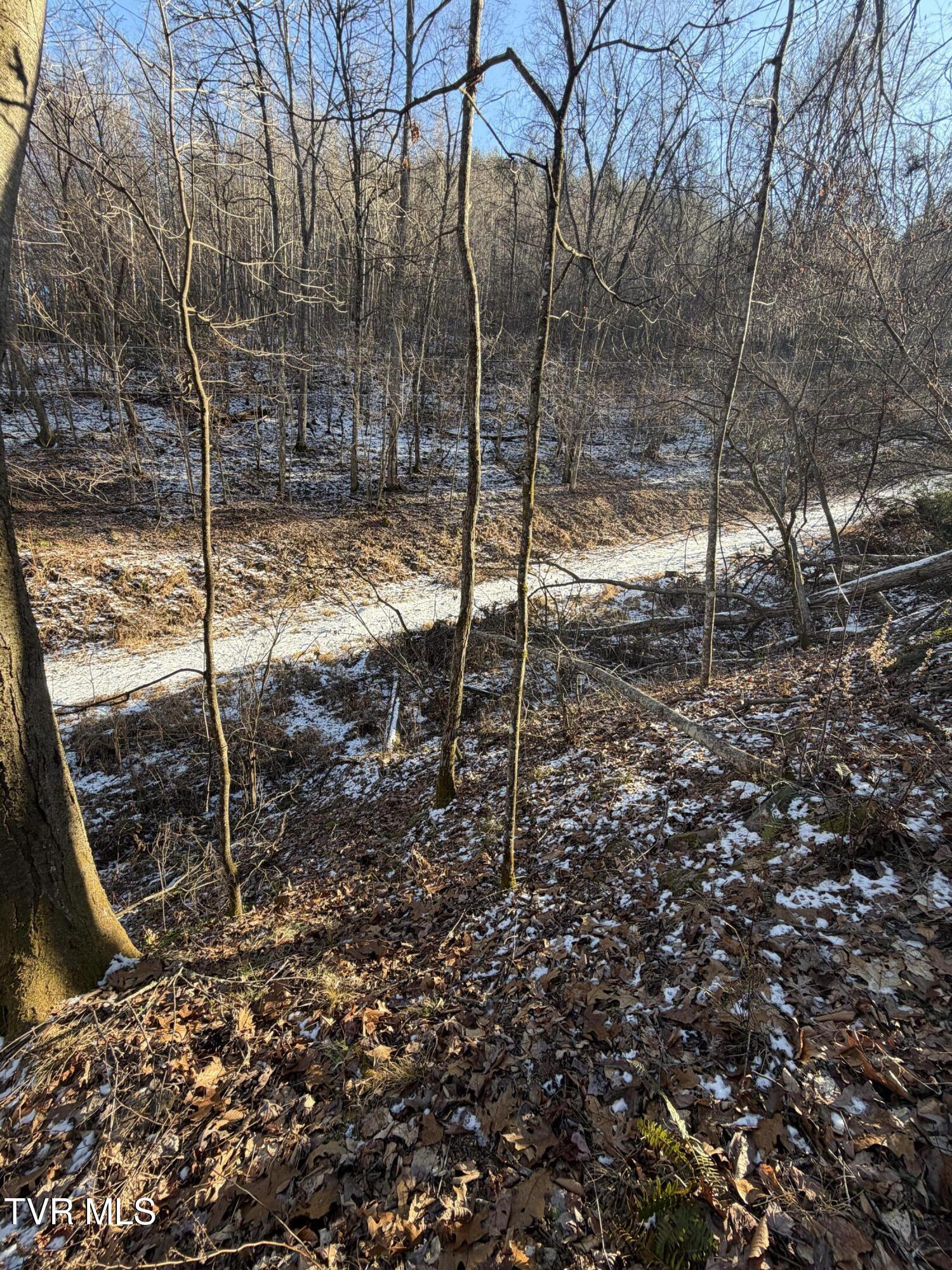 Tbd West Williams Lane, Unit 45 Butler, TN 37640 - Photo 3 of 22 20260119_202952685_iOS