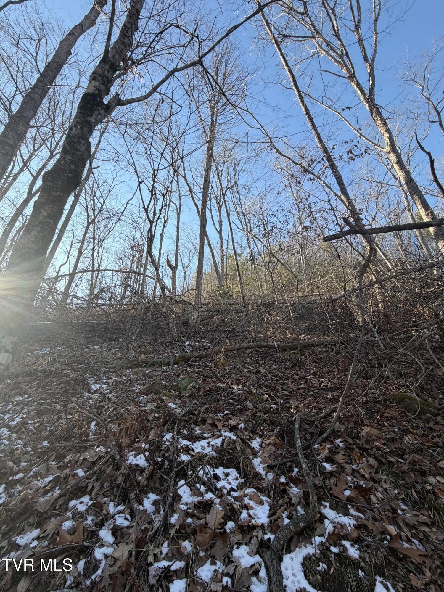 Tbd West Williams Lane, Unit 45 Butler, TN 37640 - Photo 5 of 22 20260119_203004776_iOS