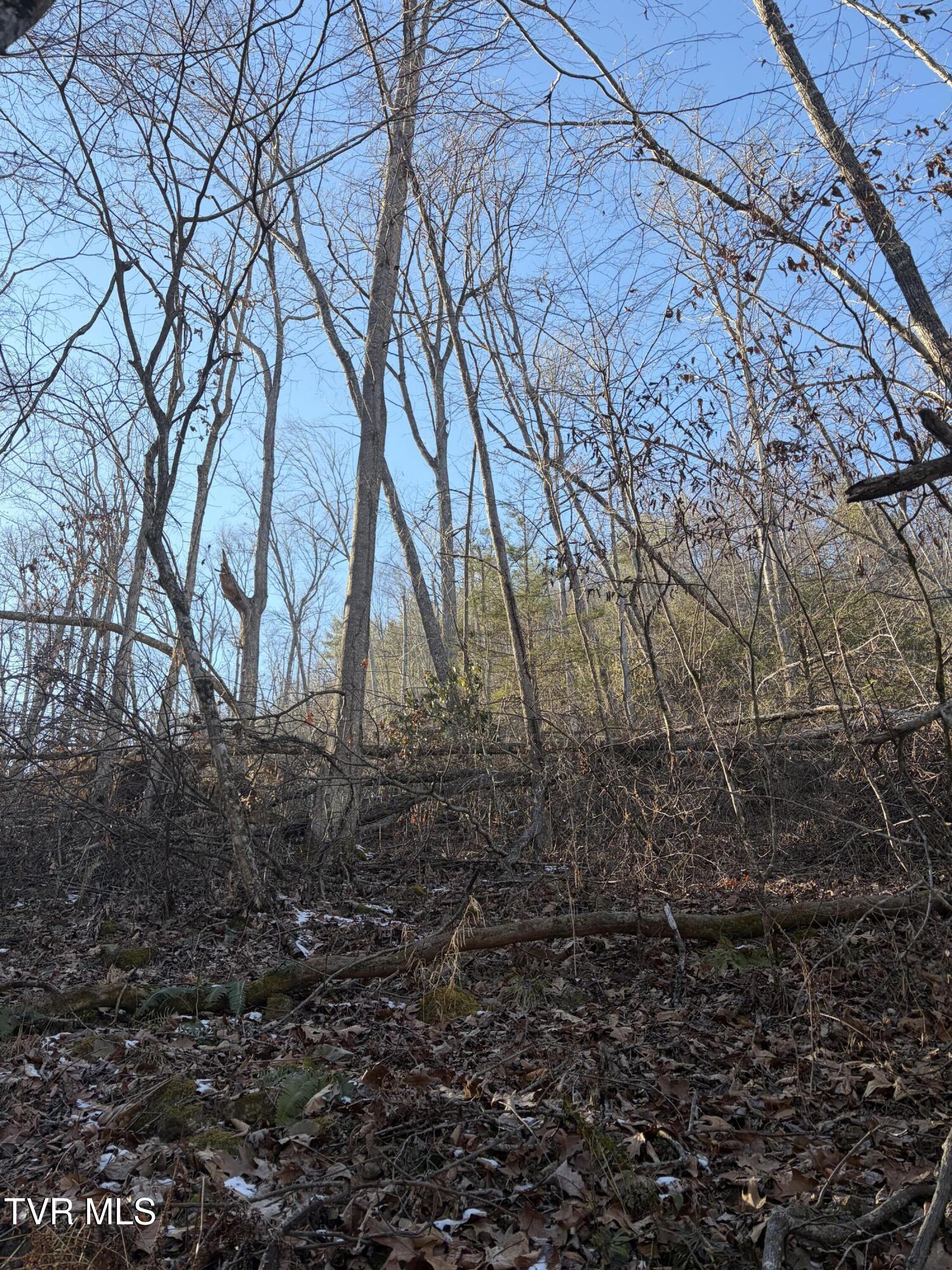 Tbd West Williams Lane, Unit 45 Butler, TN 37640 - Photo 6 of 22 20260119_203007263_iOS