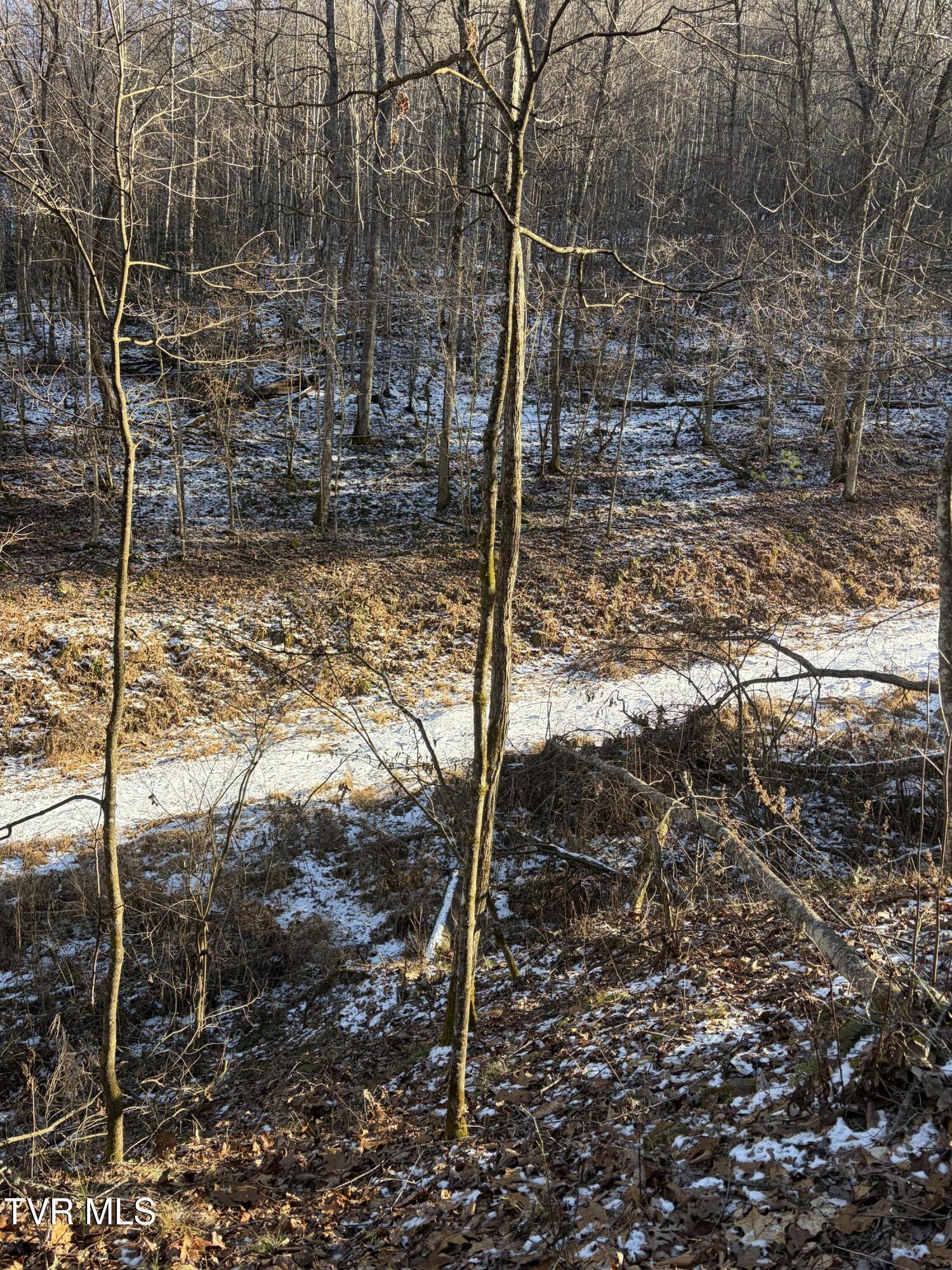 Tbd West Williams Lane, Unit 45 Butler, TN 37640 - Photo 7 of 22 20260119_203010996_iOS