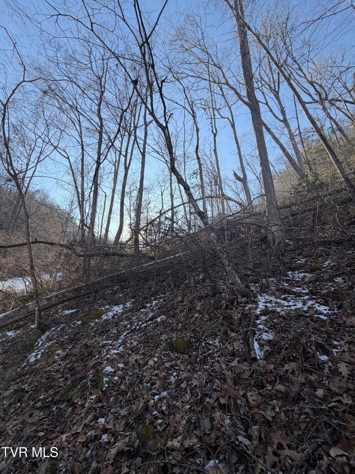 Tbd West Williams Lane, Unit 45 Butler, TN 37640 - Photo 9 of 22 20260119_203028429_iOS