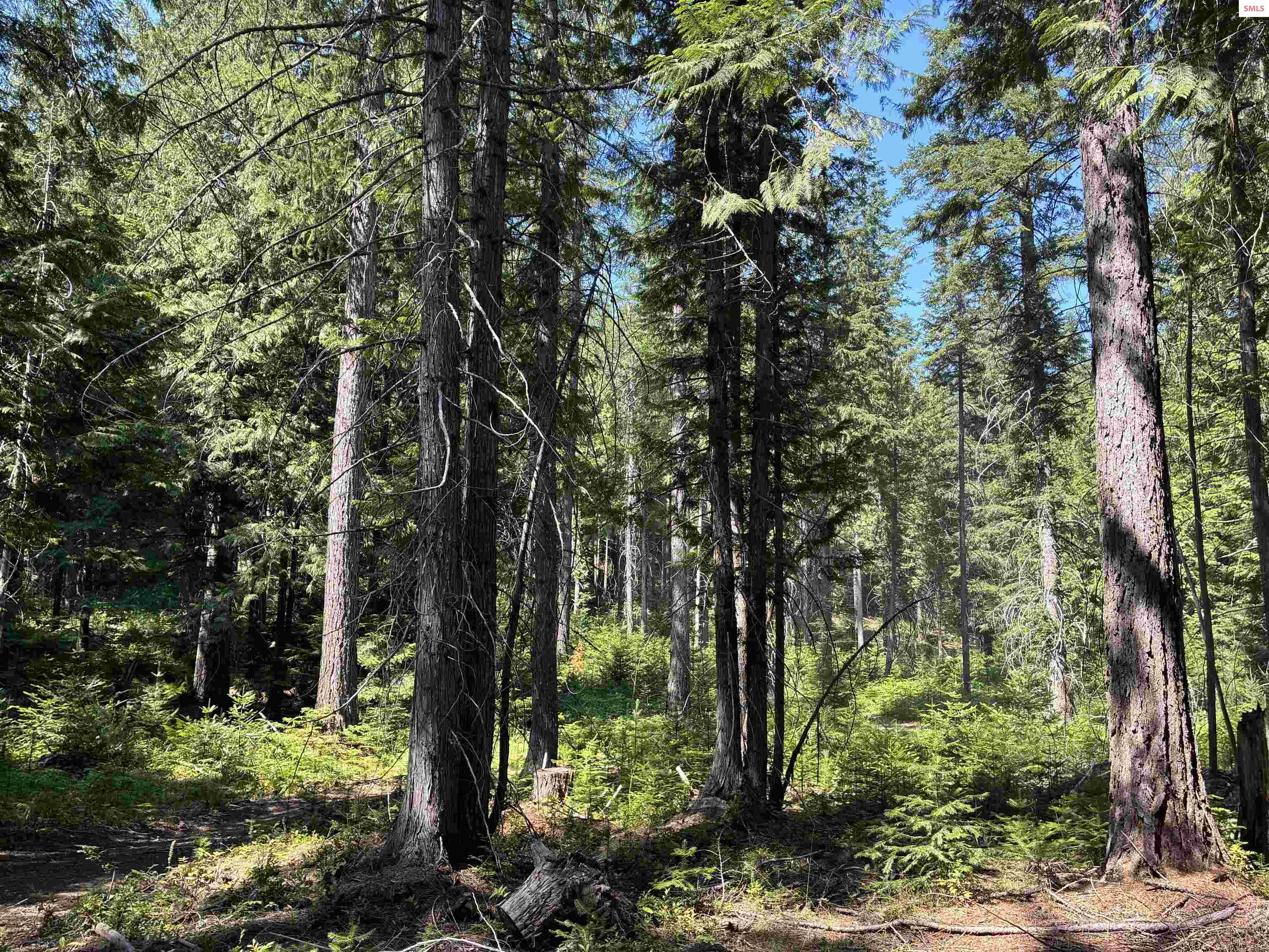 Nka Sugar Mountain Road Sandpoint, ID 83864 - Photo 16 of 19 Gallery Image 16