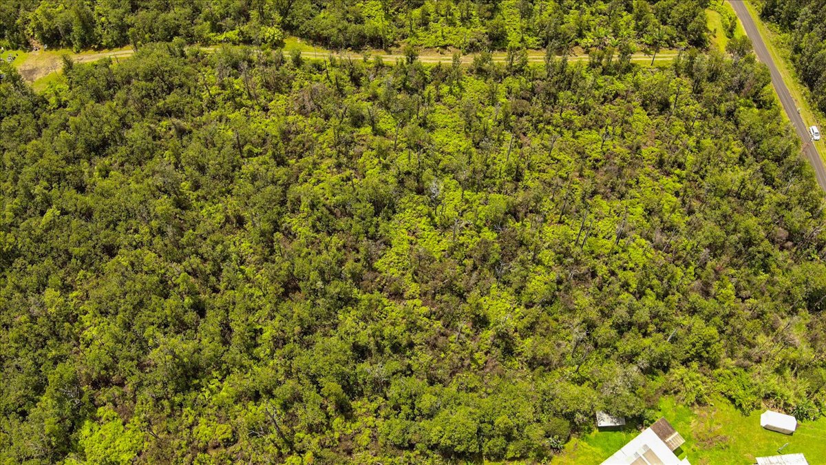 8192 Anthurium Street Mountain View, HI 96771 - Photo 17 of 20