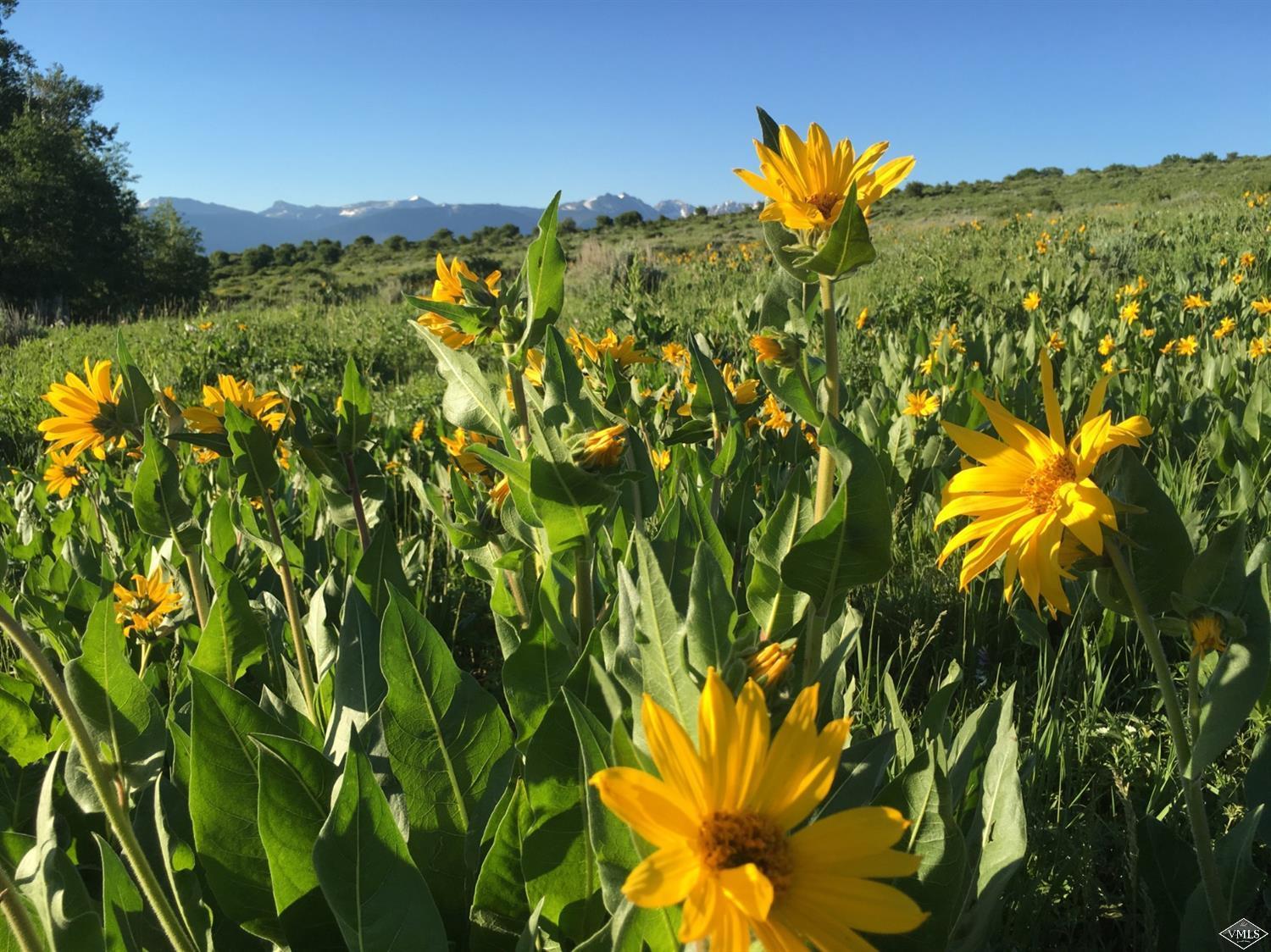 5226 Bellyache Ridge Road Wolcott, CO 81655 - Photo 19 of 25 Additional Photo