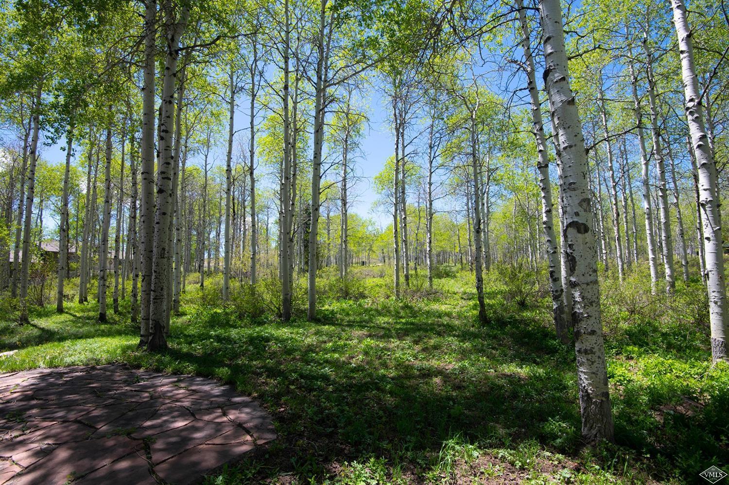 5226 Bellyache Ridge Road Wolcott, CO 81655 - Photo 22 of 25 Additional Photo