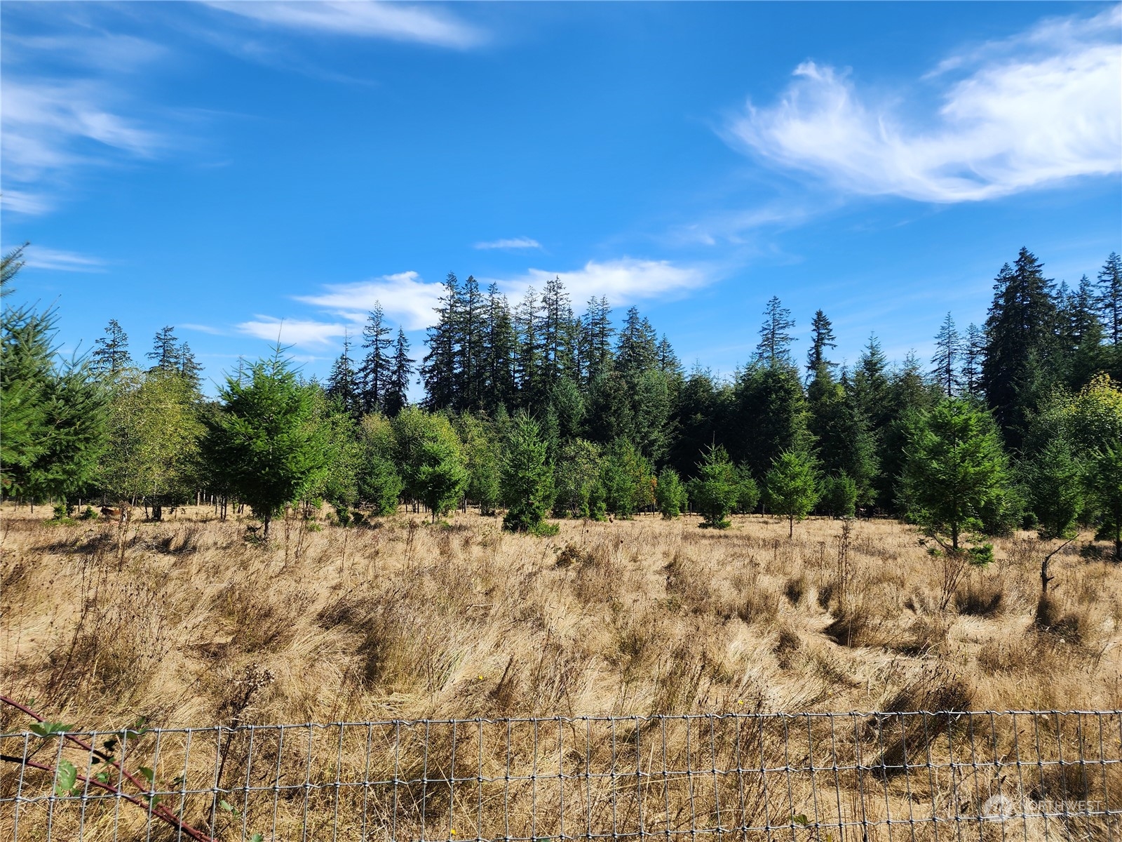 173 Jim's View Road Silverlake, WA 98645 - Photo 17 of 22 Gallery Image 17