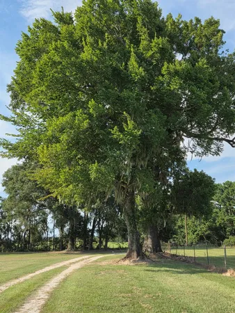 a view of outdoor space with trees
