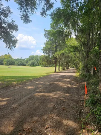 a view of road with large trees