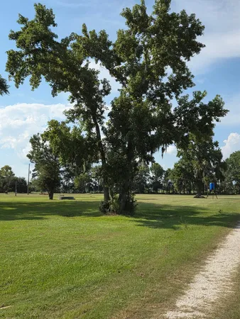 a view of yard with swimming pool and green space