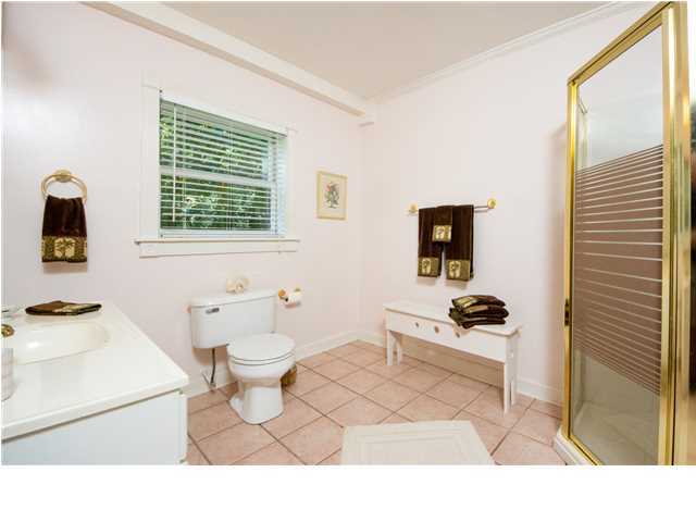 4553 Lems Bluff Plantation Road Meggett, SC 29449 - Photo 15 of 24 Additional Photo