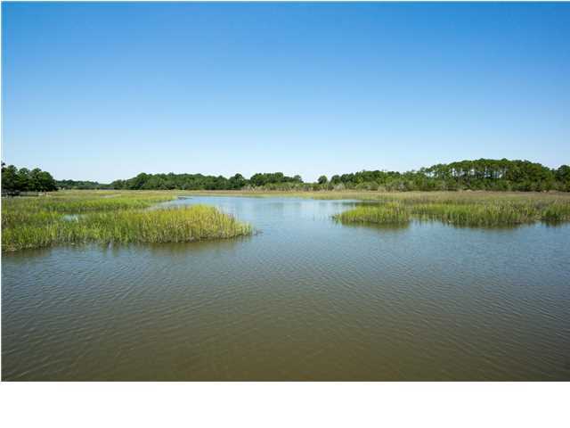 4553 Lems Bluff Plantation Road Meggett, SC 29449 - Photo 24 of 24 Additional Photo