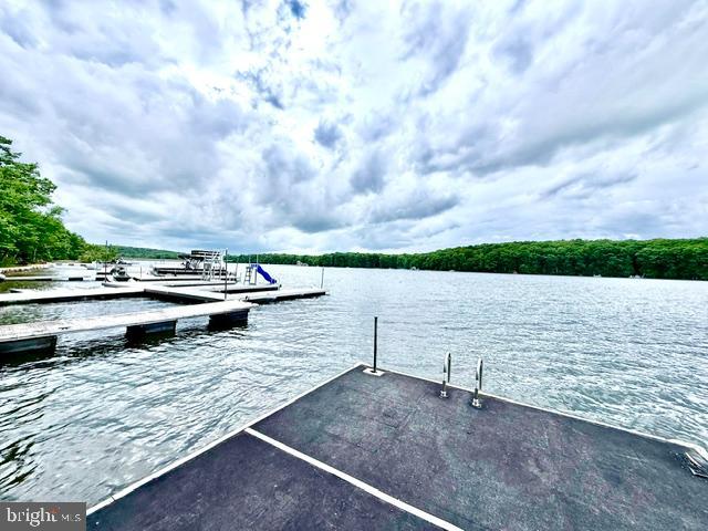 222 Skippers Point Road Oakland, MD 21550 - Photo 60 of 66