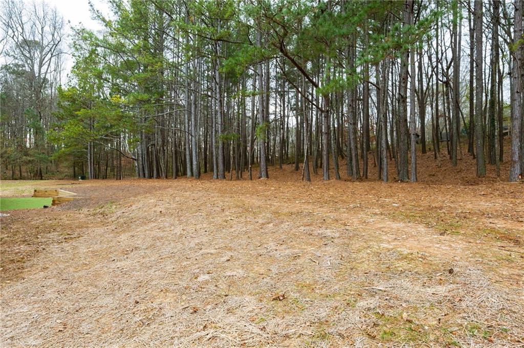 1488 Batesville Road Canton, GA 30115 - Photo 50 of 67