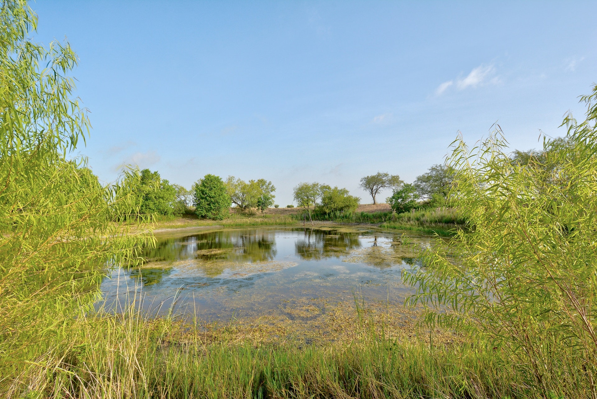 14512 Graef Road Buda, TX 78610 - Photo 3 of 27 Pond onsite