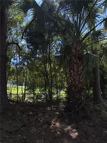 a backyard of a house with lots of green space