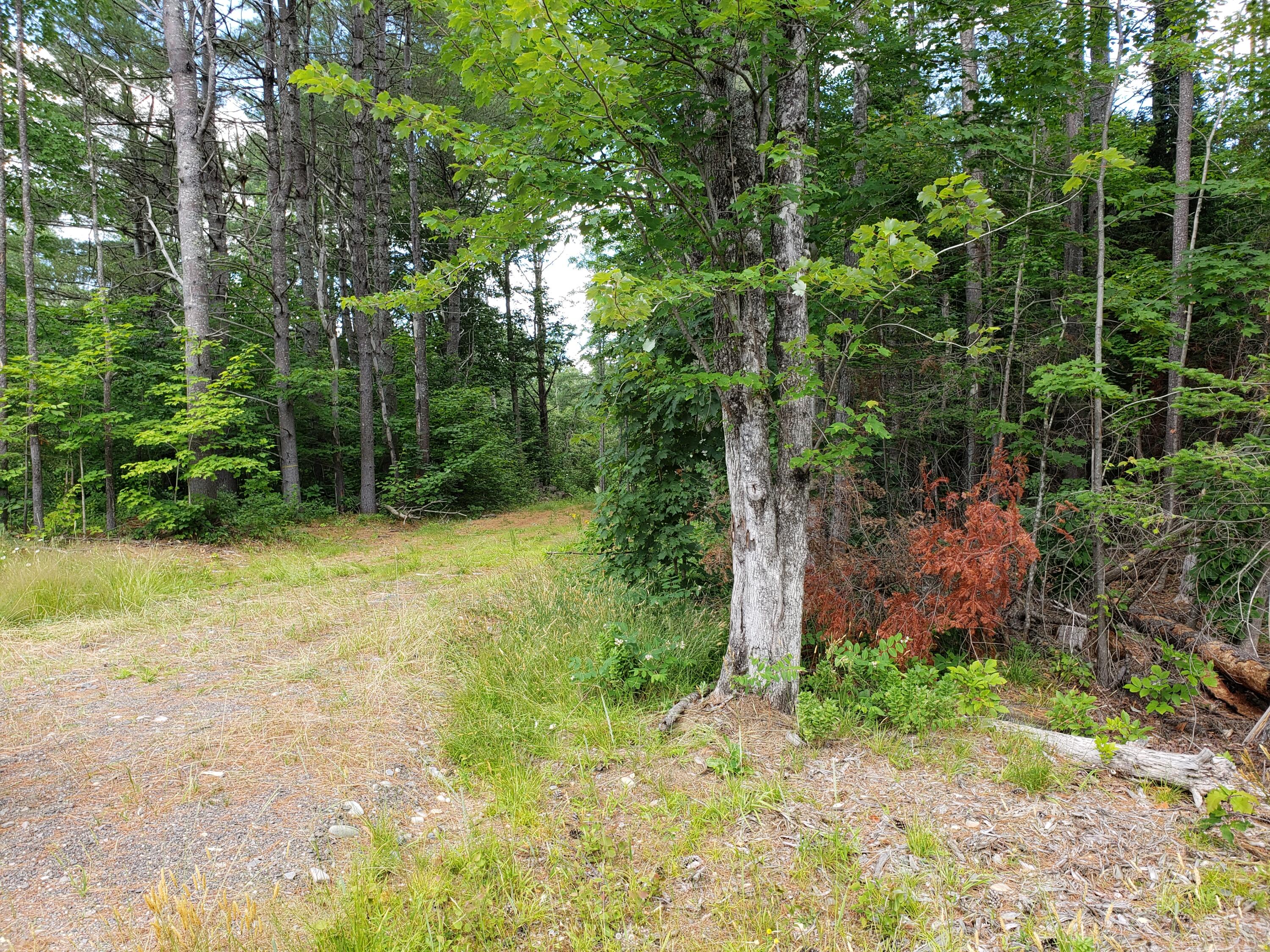 0 Main Road Abbot, ME 04406 - Photo 23 of 36 20220707_140847